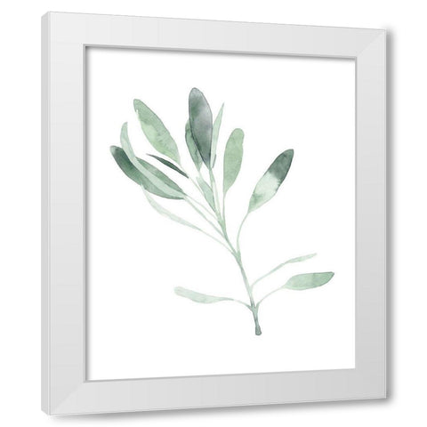 Simple Sage II White Modern Wood Framed Art Print by Scarvey, Emma