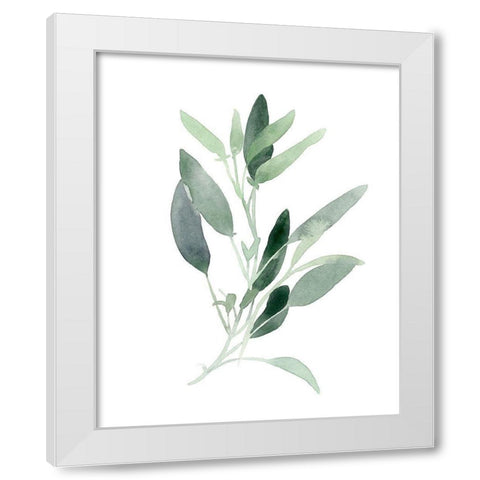 Simple Sage III White Modern Wood Framed Art Print by Scarvey, Emma