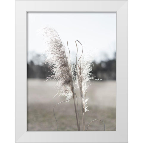 Ethereal Pampas I White Modern Wood Framed Art Print by Johnson, Jason
