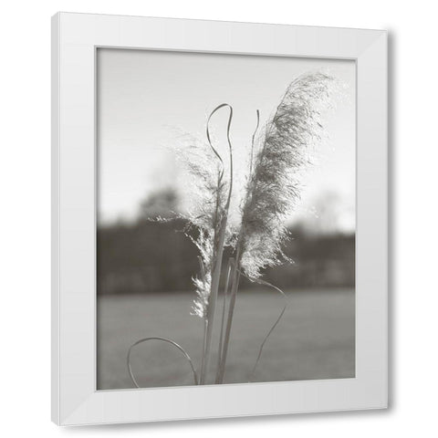 Ethereal Pampas III White Modern Wood Framed Art Print by Johnson, Jason