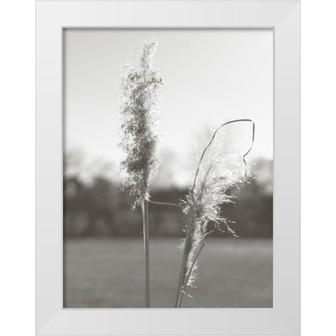 Ethereal Pampas IV White Modern Wood Framed Art Print by Johnson, Jason