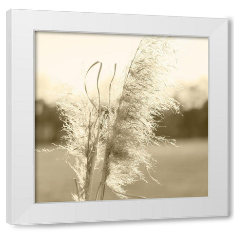 Ethereal Pampas VI White Modern Wood Framed Art Print by Johnson, Jason