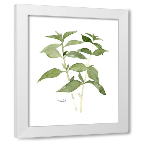Herb Garden Sketches I White Modern Wood Framed Art Print by Scarvey, Emma