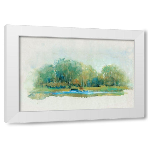 Forest Vignette II White Modern Wood Framed Art Print by OToole, Tim