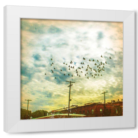 Birds on Wires V White Modern Wood Framed Art Print by Brown, Thomas