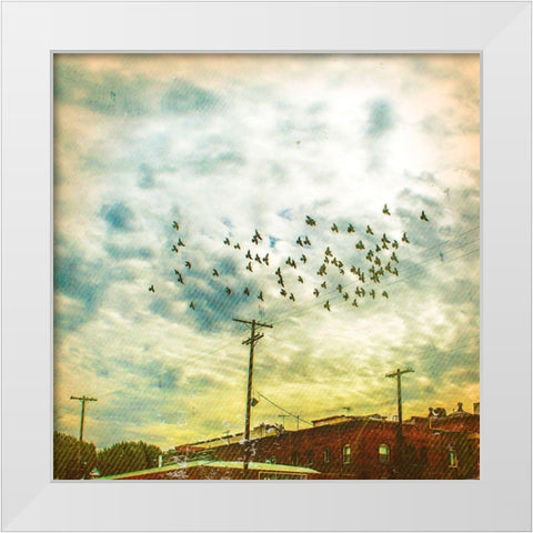 Birds on Wires V White Modern Wood Framed Art Print by Brown, Thomas