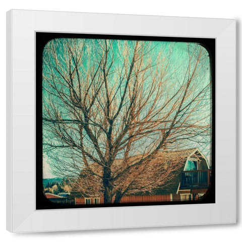 Frames of Travel III White Modern Wood Framed Art Print by Brown, Thomas