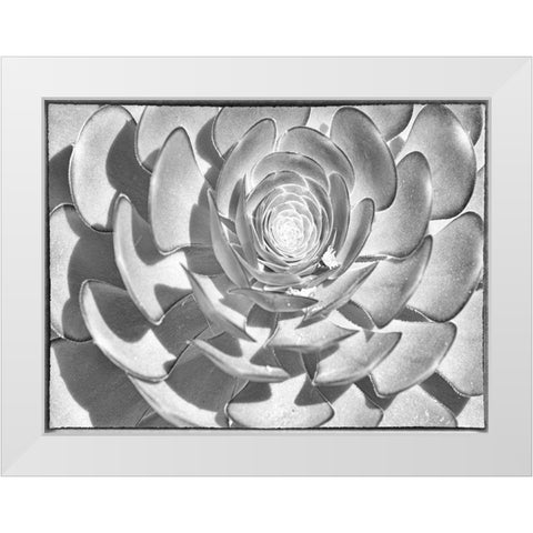 One After Another I White Modern Wood Framed Art Print by Hartson-Weddle, Ryan