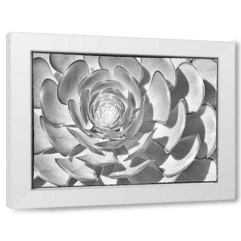 One After Another II White Modern Wood Framed Art Print by Hartson-Weddle, Ryan