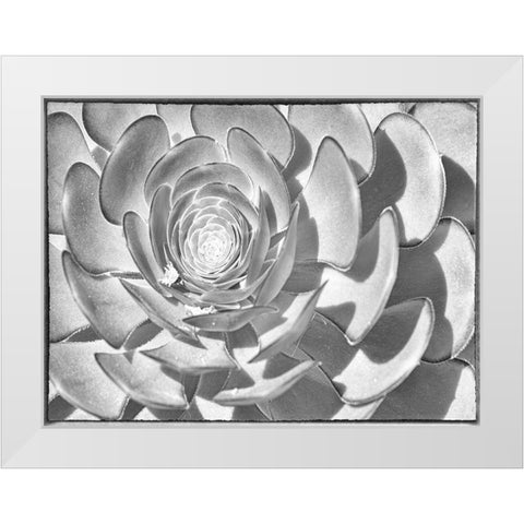 One After Another II White Modern Wood Framed Art Print by Hartson-Weddle, Ryan
