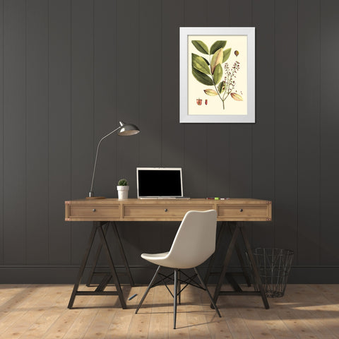 Buchoz Leaves VI White Modern Wood Framed Art Print by Vision Studio