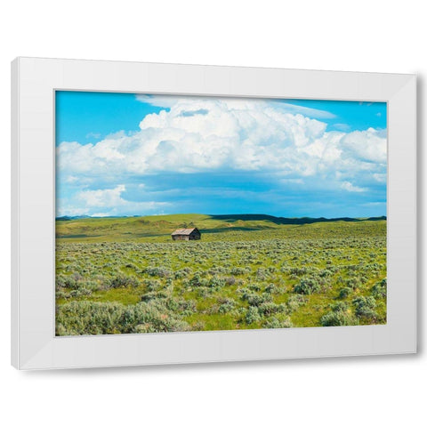 Barn Scene I White Modern Wood Framed Art Print by McLoughlin, James