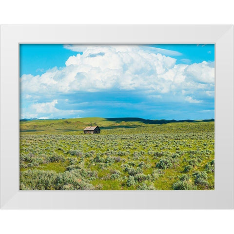 Barn Scene I White Modern Wood Framed Art Print by McLoughlin, James