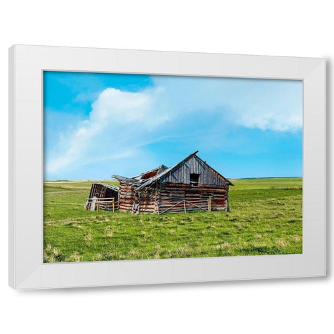 Barn Scene II White Modern Wood Framed Art Print by McLoughlin, James