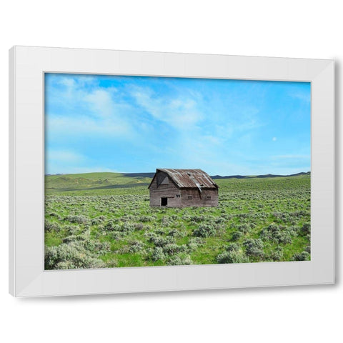 Barn Scene III White Modern Wood Framed Art Print by McLoughlin, James