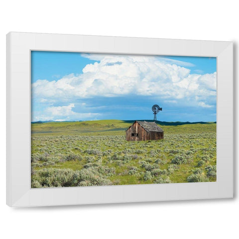 Barn Scene IV White Modern Wood Framed Art Print by McLoughlin, James