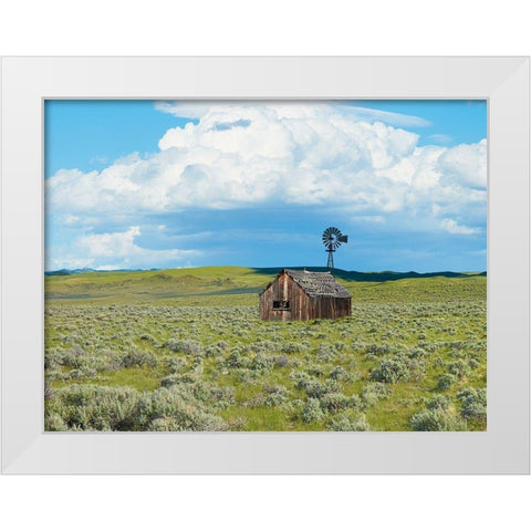 Barn Scene IV White Modern Wood Framed Art Print by McLoughlin, James