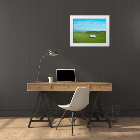 Barn Scene VI White Modern Wood Framed Art Print by McLoughlin, James