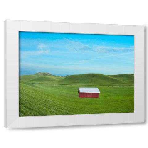 Barn Scene VI White Modern Wood Framed Art Print by McLoughlin, James