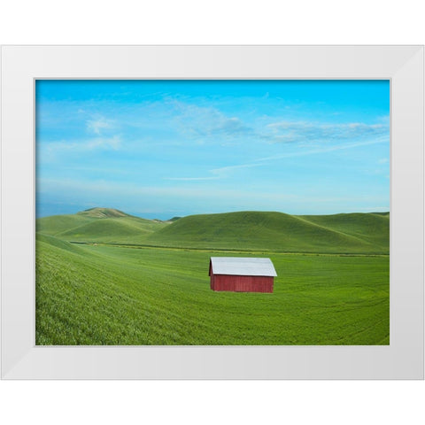 Barn Scene VI White Modern Wood Framed Art Print by McLoughlin, James