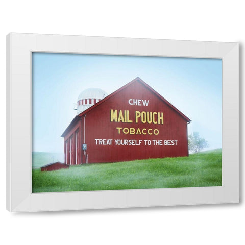 Barn Scene VIII White Modern Wood Framed Art Print by McLoughlin, James