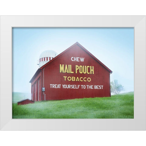 Barn Scene VIII White Modern Wood Framed Art Print by McLoughlin, James