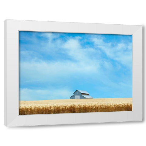 Barn Scene IX White Modern Wood Framed Art Print by McLoughlin, James