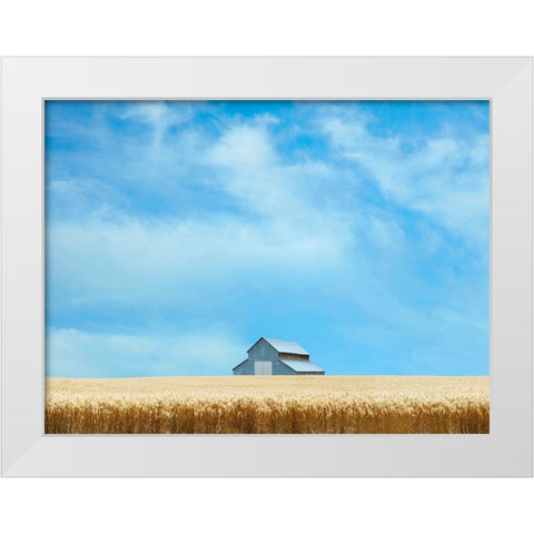 Barn Scene IX White Modern Wood Framed Art Print by McLoughlin, James