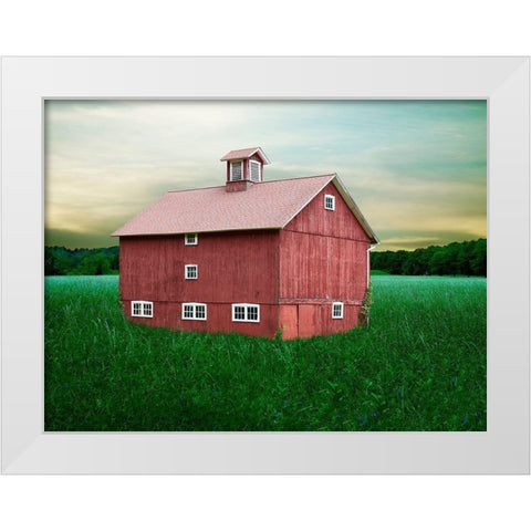 Barn Scene XII White Modern Wood Framed Art Print by McLoughlin, James