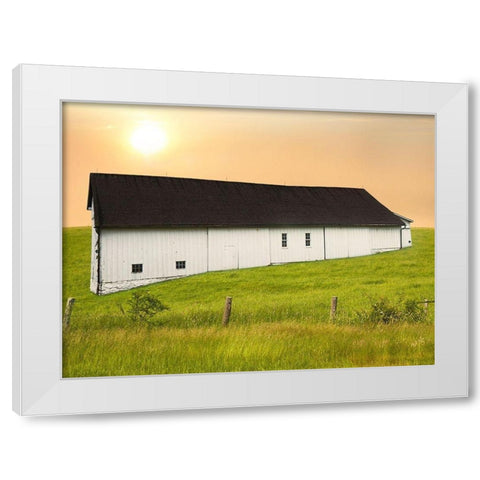 Barn Scene XIV White Modern Wood Framed Art Print by McLoughlin, James