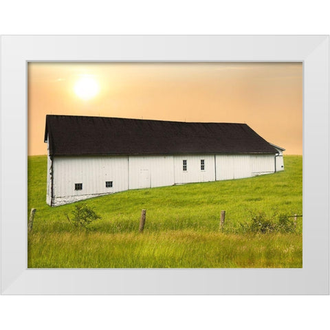 Barn Scene XIV White Modern Wood Framed Art Print by McLoughlin, James