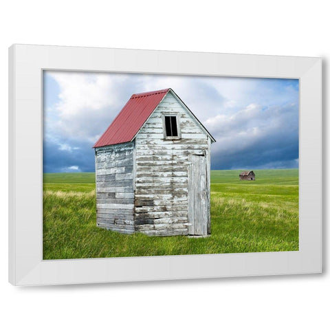 Barn Scene XVI White Modern Wood Framed Art Print by McLoughlin, James