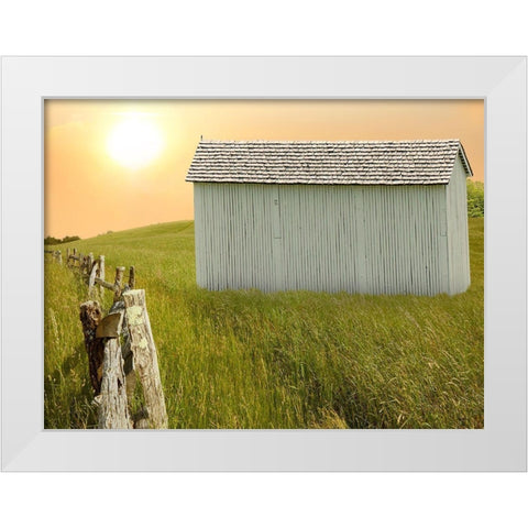 Barn Scene XVII White Modern Wood Framed Art Print by McLoughlin, James