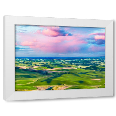Farmscape Photo I White Modern Wood Framed Art Print by McLoughlin, James