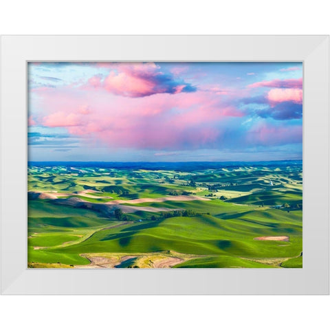 Farmscape Photo I White Modern Wood Framed Art Print by McLoughlin, James
