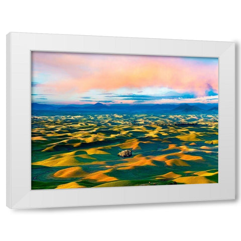 Farmscape Photo II White Modern Wood Framed Art Print by McLoughlin, James