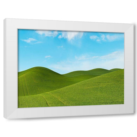 Farmscape Photo III White Modern Wood Framed Art Print by McLoughlin, James
