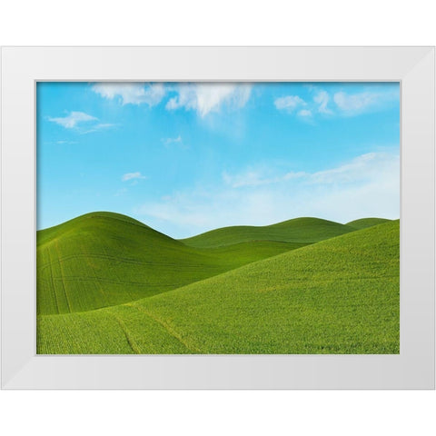Farmscape Photo III White Modern Wood Framed Art Print by McLoughlin, James
