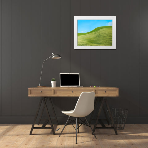Farmscape Photo IV White Modern Wood Framed Art Print by McLoughlin, James