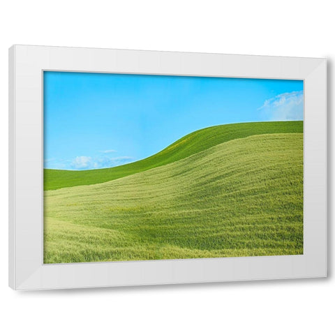 Farmscape Photo IV White Modern Wood Framed Art Print by McLoughlin, James