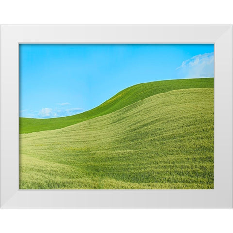 Farmscape Photo IV White Modern Wood Framed Art Print by McLoughlin, James