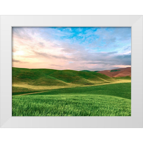 Farmscape Photo V White Modern Wood Framed Art Print by McLoughlin, James