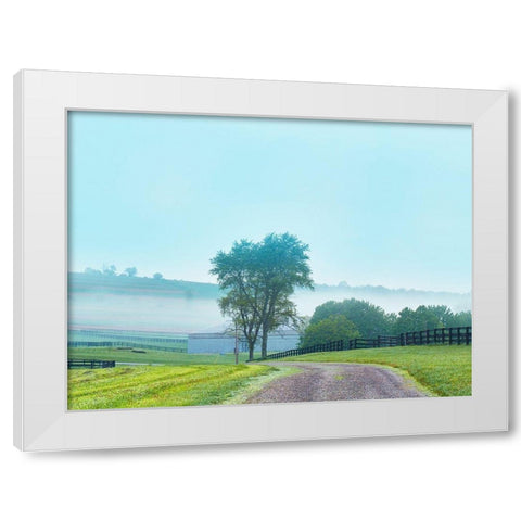 Farmscape Photo VII White Modern Wood Framed Art Print by McLoughlin, James