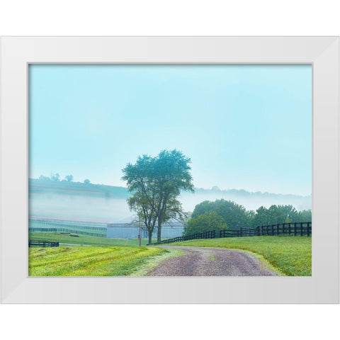 Farmscape Photo VII White Modern Wood Framed Art Print by McLoughlin, James