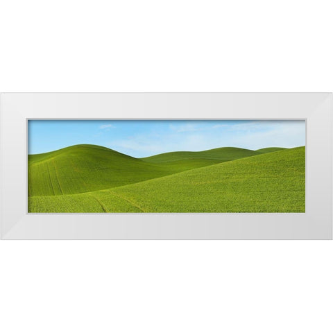 Farmscape Panorama VII White Modern Wood Framed Art Print by McLoughlin, James