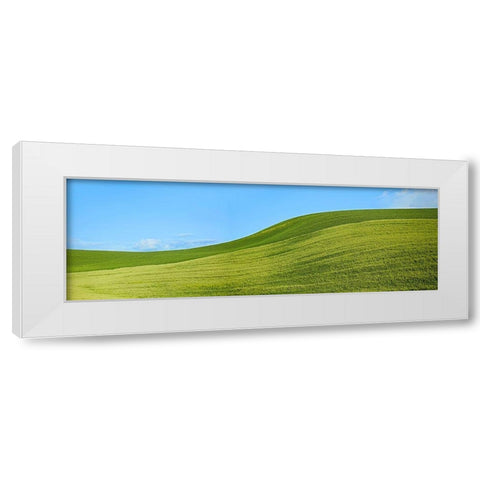 Farmscape Panorama VIII White Modern Wood Framed Art Print by McLoughlin, James