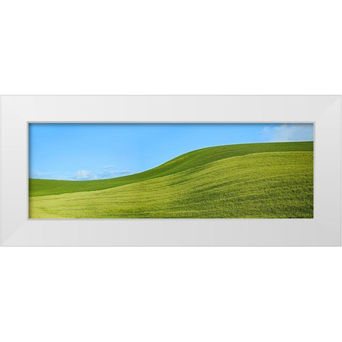 Farmscape Panorama VIII White Modern Wood Framed Art Print by McLoughlin, James