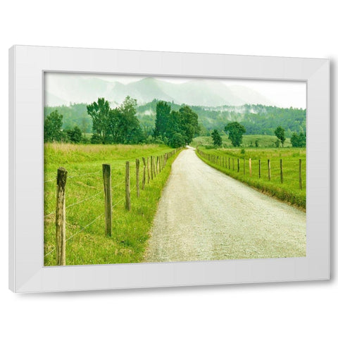 Country Road Photo I White Modern Wood Framed Art Print by McLoughlin, James