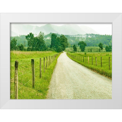 Country Road Photo I White Modern Wood Framed Art Print by McLoughlin, James