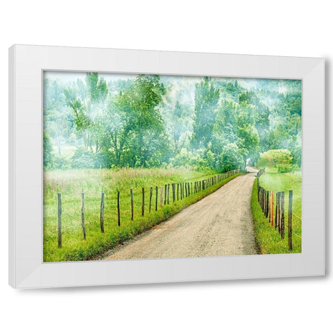 Country Road Photo II White Modern Wood Framed Art Print by McLoughlin, James